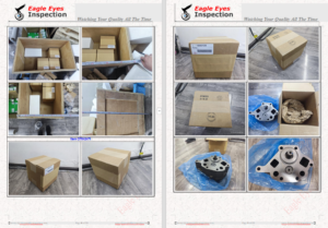 Final Inspection quality check for Charging Pump in Xian city shanxi package check